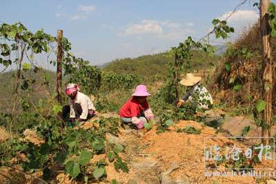 20170423204146e5rqpr---副本.jpg