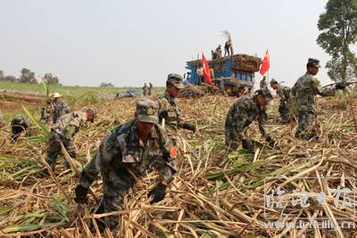 孔祥杰摄.JPG