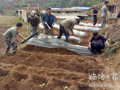 20170425154504ox873w---副本.jpg