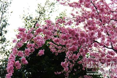 20170424141107pi6dl7---副本.jpg