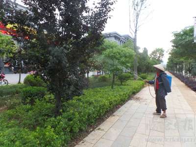 图为凤庆县着力加大城乡花草.jpg