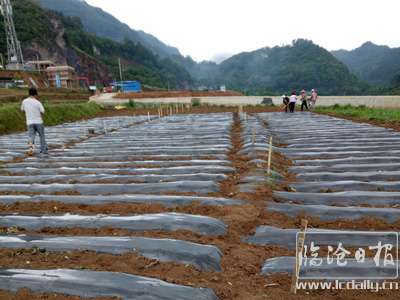 20170626142407f2cq06---副本.jpg