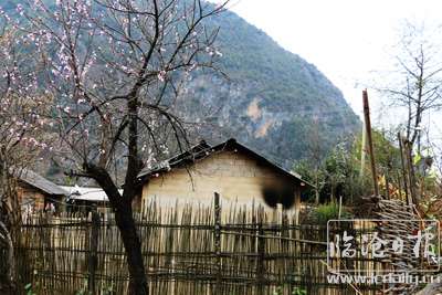 山中人家　伊晓梅　摄　（地.jpg