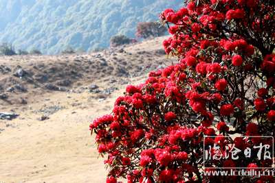 IMG_6669俊.jpg