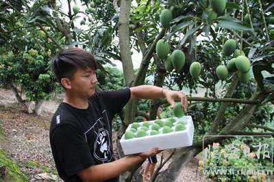 2017070820204256ul74---副本.jpg