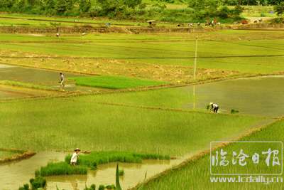 20170709202928nbozm7---副本.jpg
