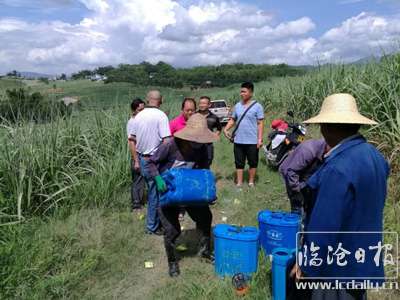 20170720105506y0pt3n---副本.jpg