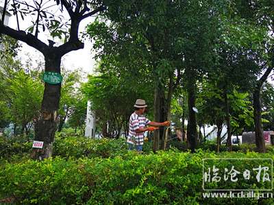 20170728114747bgeyxe---副本.jpg