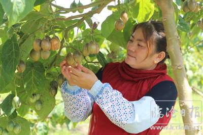 20170824090207wiszhw---副本.jpg
