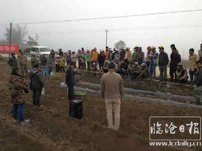 20180117161702yy7sn6---副本.jpg
