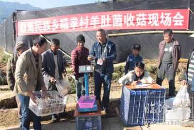 复件-20180127203757ydbmi8.jpg