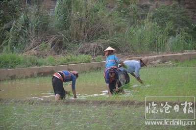复件-201806251007391pu21g.jpg
