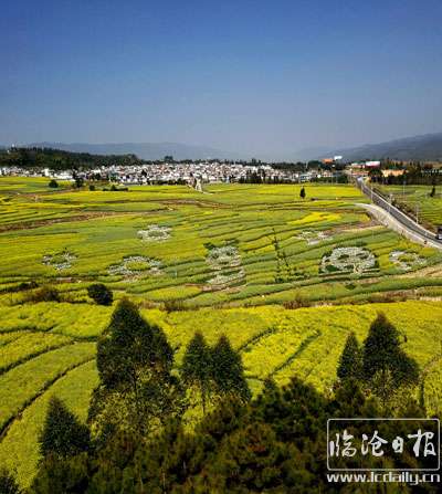 油菜花开熊猫乐（市建行袁忠.jpg