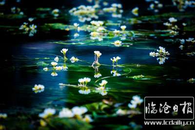 20180927155025k9rliy---副本.jpg