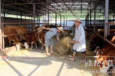 20181008092550w4fa68---副本.jpg