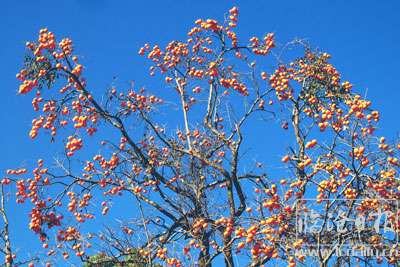 复件-20190221160124zds8l0.jpg