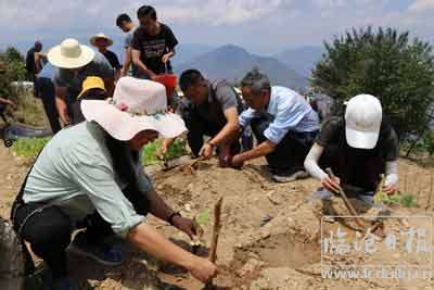 小湾镇五四青年节系列活动精.jpg