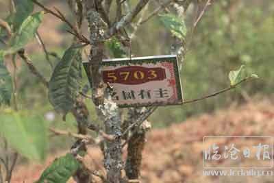 202004071523050oplne---副本.jpg