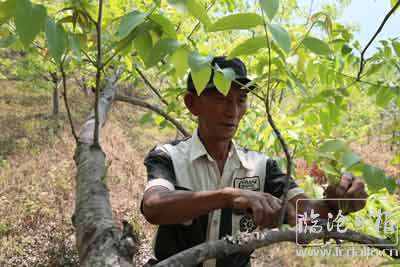 20200424111919yip9gu---副本.jpg