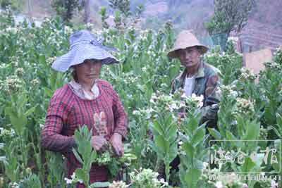 20200424170548rp2t7p---副本.jpg