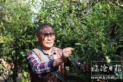 20200425202120bd2gxs---副本.jpg