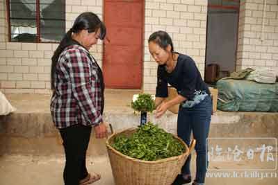 202004252021596fc0g2---副本.jpg
