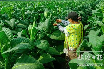 202005062211553gwhen---副本.jpg