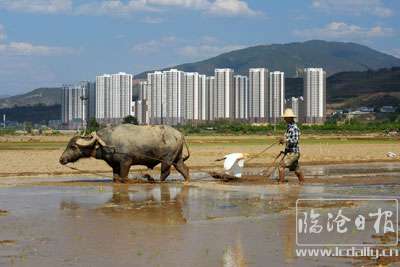 20200510214100fgr0aq---副本.jpg