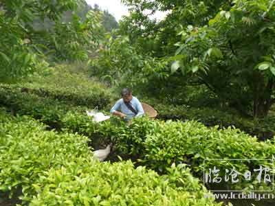 20200520154432j7wl4m---副本.jpg