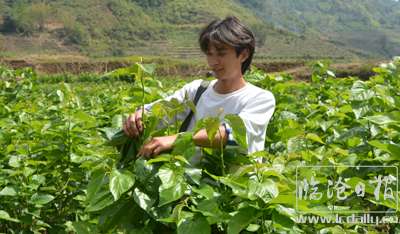 2020060315504344oskn---副本.jpg