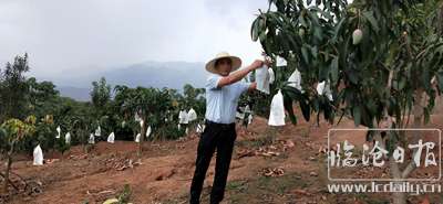 20200604162517tifppi---副本.jpg