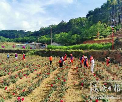 202006091515132xtzmv---副本.jpg