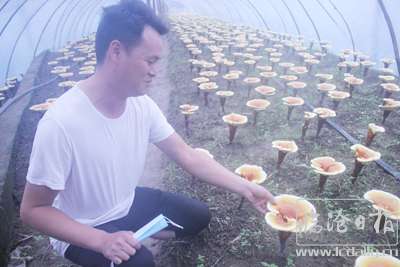 20200618163821b7lir5---副本.jpg