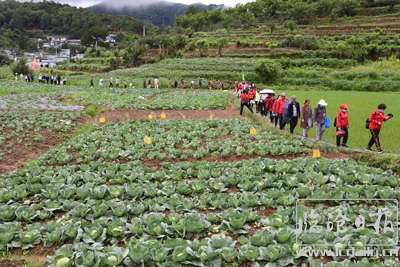 20200702165040r0k5oz---副本.jpg