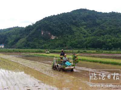 20200810145848yqglqi---副本.jpg