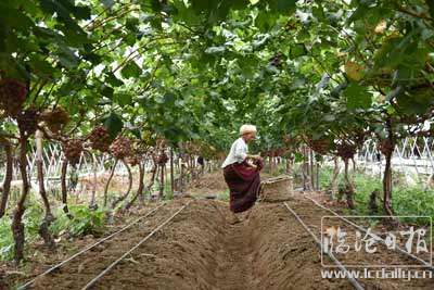 20200811152053bn98ml---副本.jpg