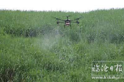 20200815195248xr1sxj---副本.jpg