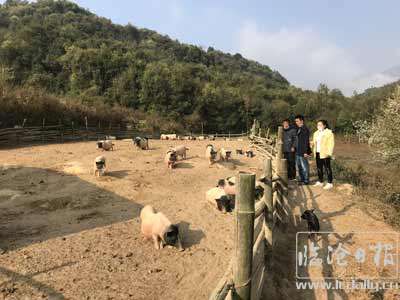 20200816223339isy5hy---副本.jpg