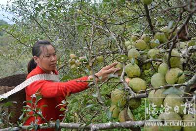 20200923152753ml3o3w---副本.jpg