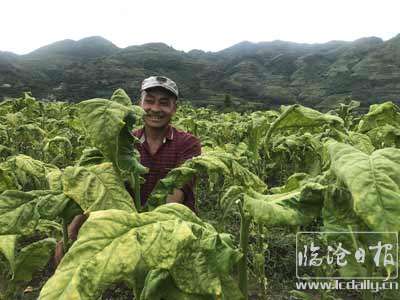 20200924152935quij46---副本.jpg
