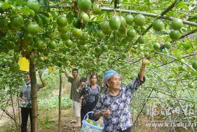 20201019150925jx0o06---副本.jpg