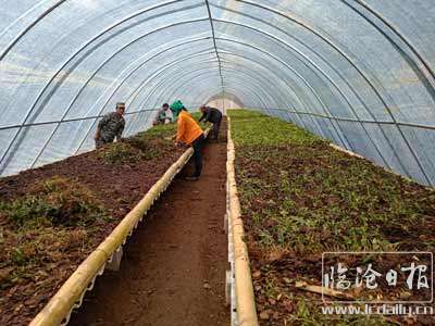 202011021525058liiw3---副本.jpg
