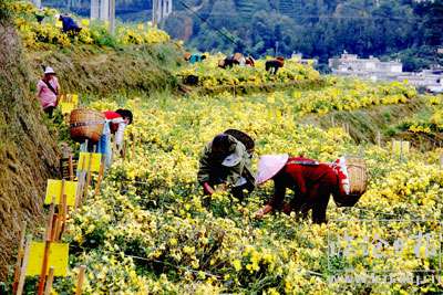 202011100946181niafi---副本.jpg