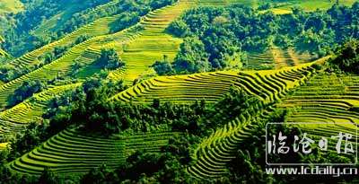 佤山梯田，丁树荣.jpg