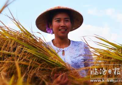丰收之悦，穆王成.jpg