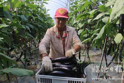 20201202174338h34nlb---副本.jpg