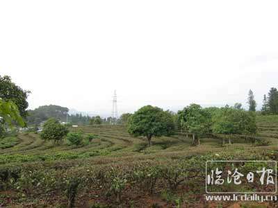 202012041535565si297---副本.jpg