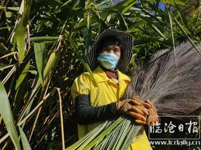 20201206193333z3p8ou---副本.jpg