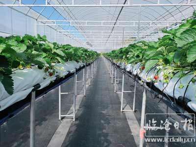 复件-20201214145603d84ujz.jpg