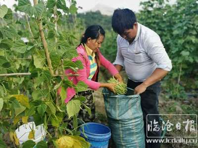 20210101155453t4m8xr---副本.jpg